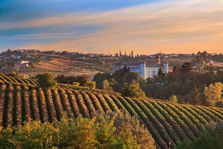 master-incentive-team-sella-fontanafredda-barolo-1