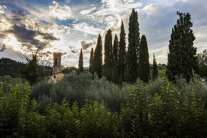 master-incentive-team-i-love-ostrica-2016_0005_3